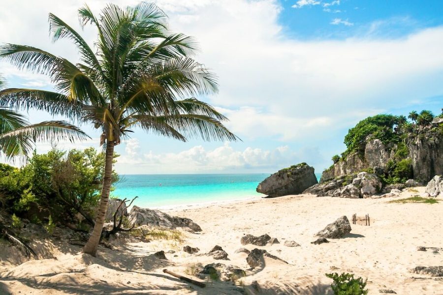 Playa del Carmen, Mexico (Solo Camp) - Image 15